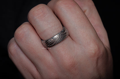 The Superconductor Ring